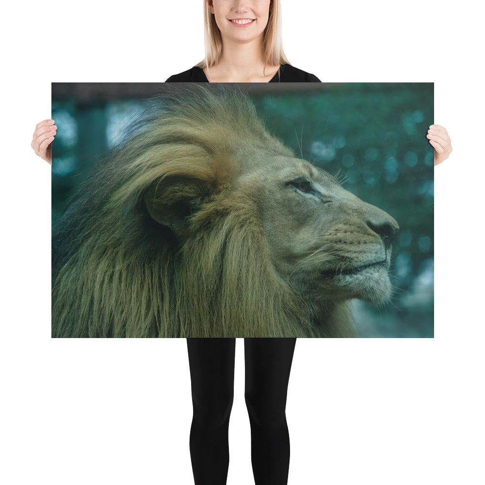 Poster - Lion Profile