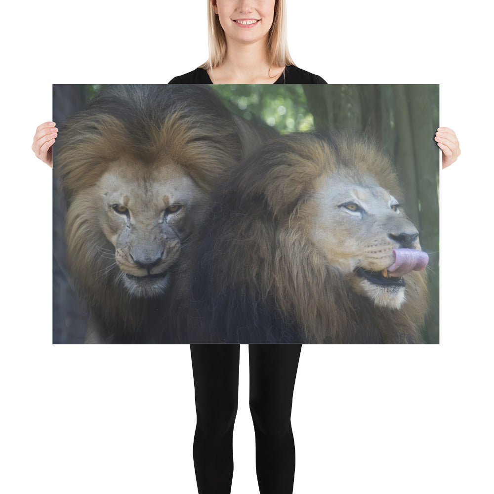 Poster - Lion Brothers 2