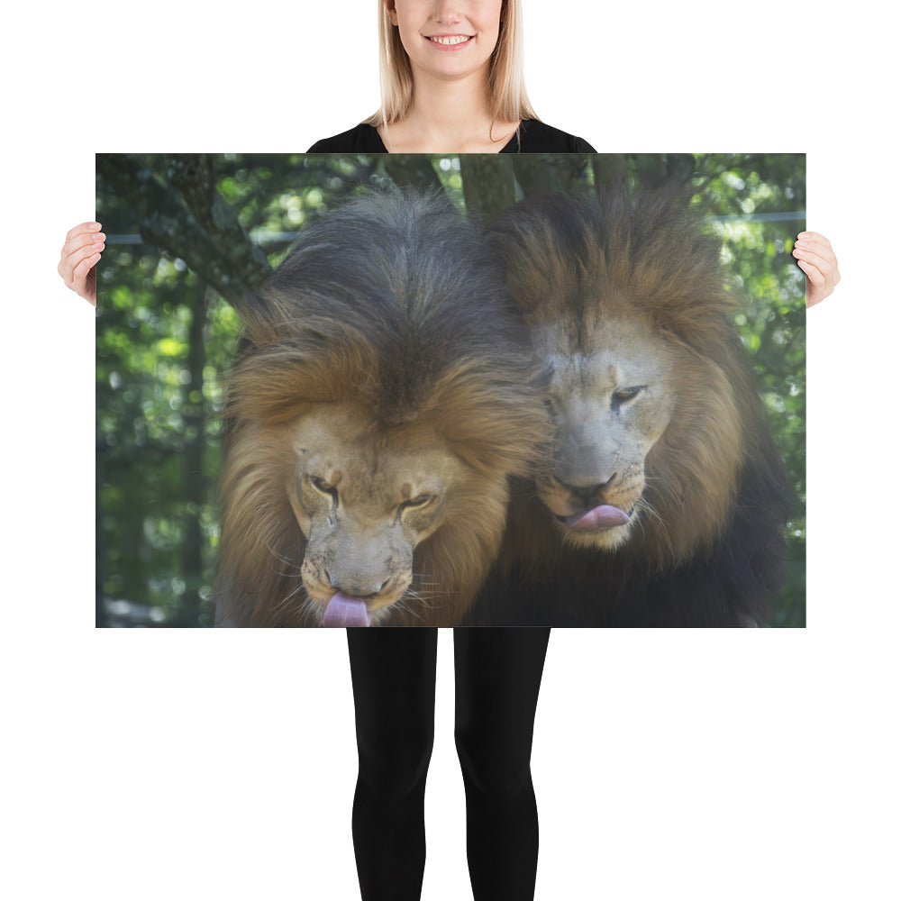 Poster - Lion Brothers 3