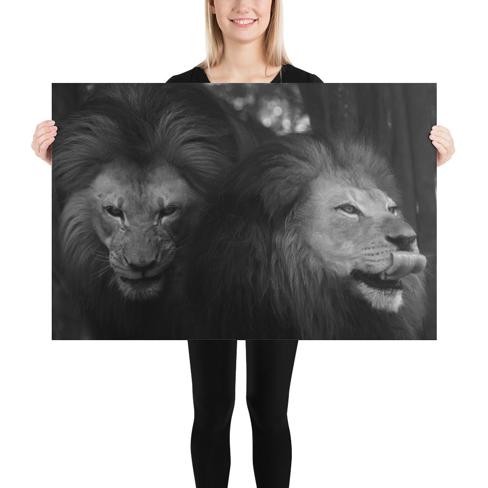 Poster - Lion Brothers Greyscale