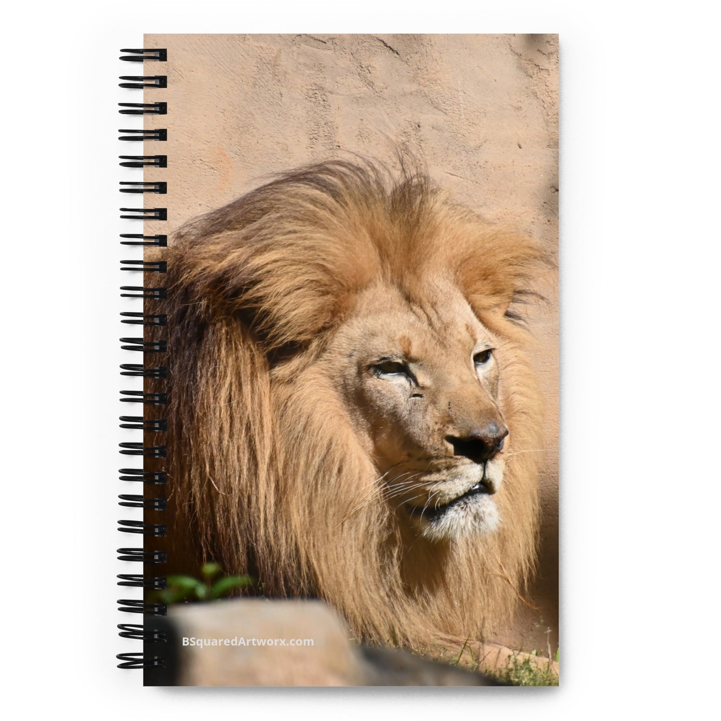 Spiral notebook - Lion 8