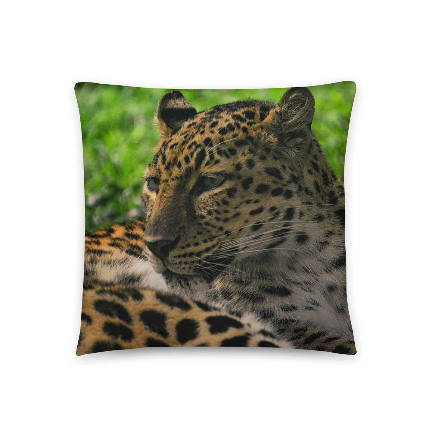 Accent Pillow - Leopard 1