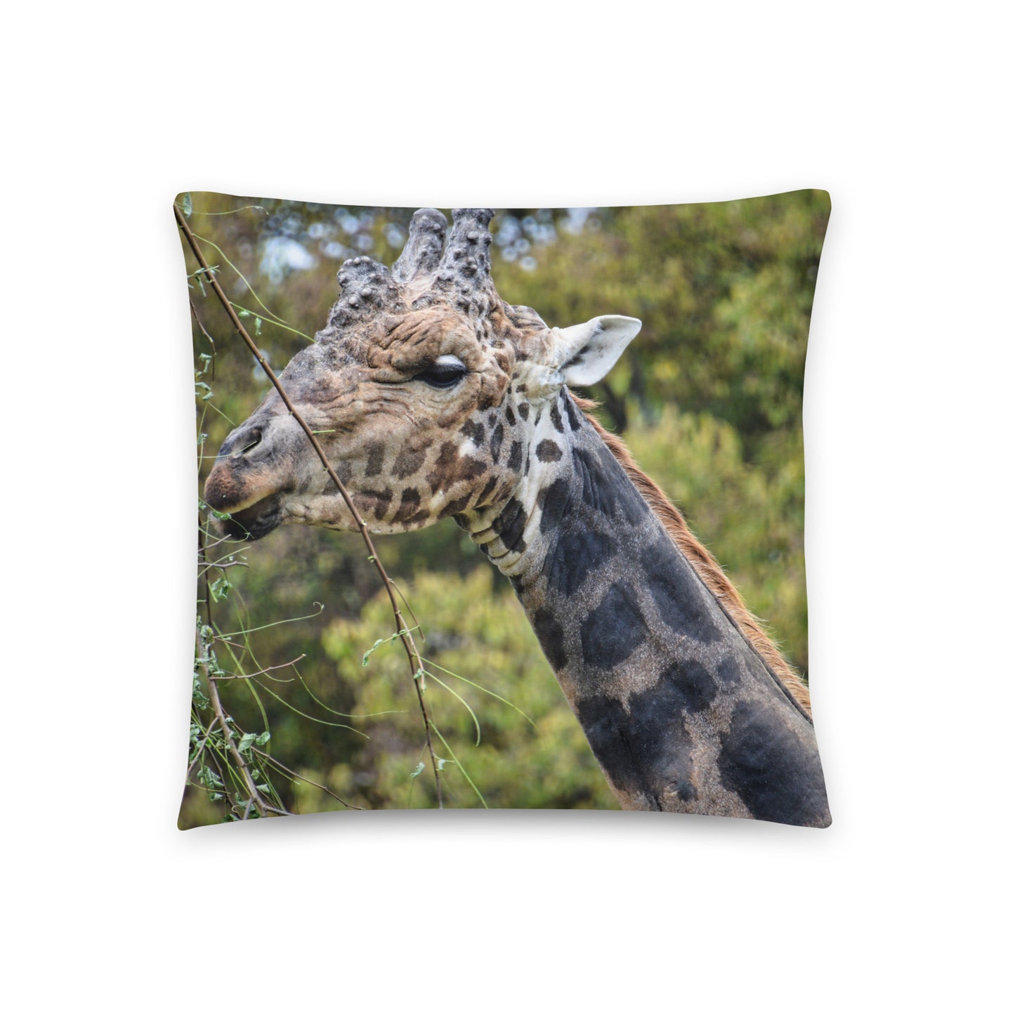 Accent Pillow - Giraffe
