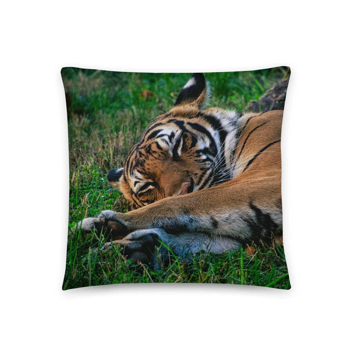 Accent Pillow - Tiger 2