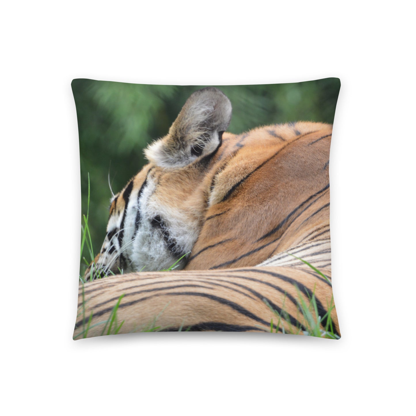 Accent Pillow - Tiger