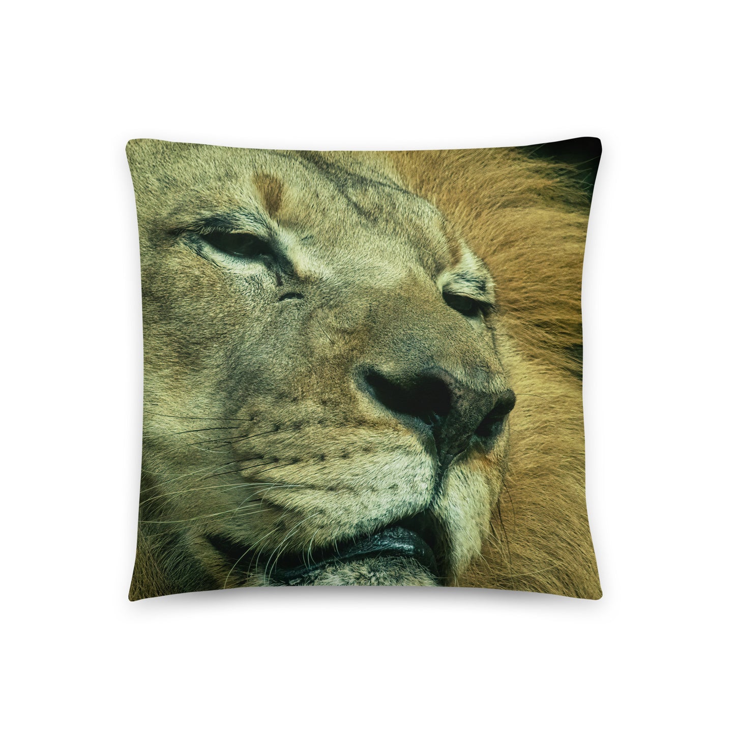 Accent Pillow - Lion 3