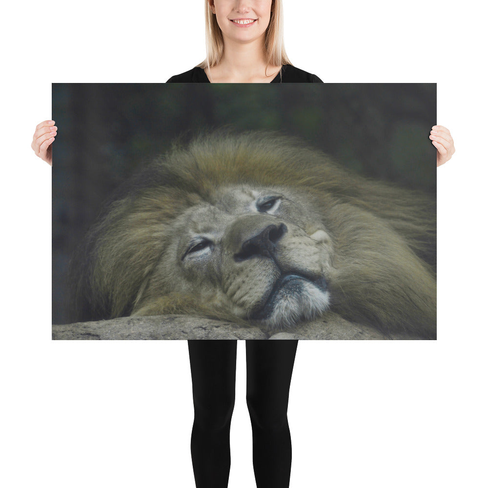 Poster - Eye Contact