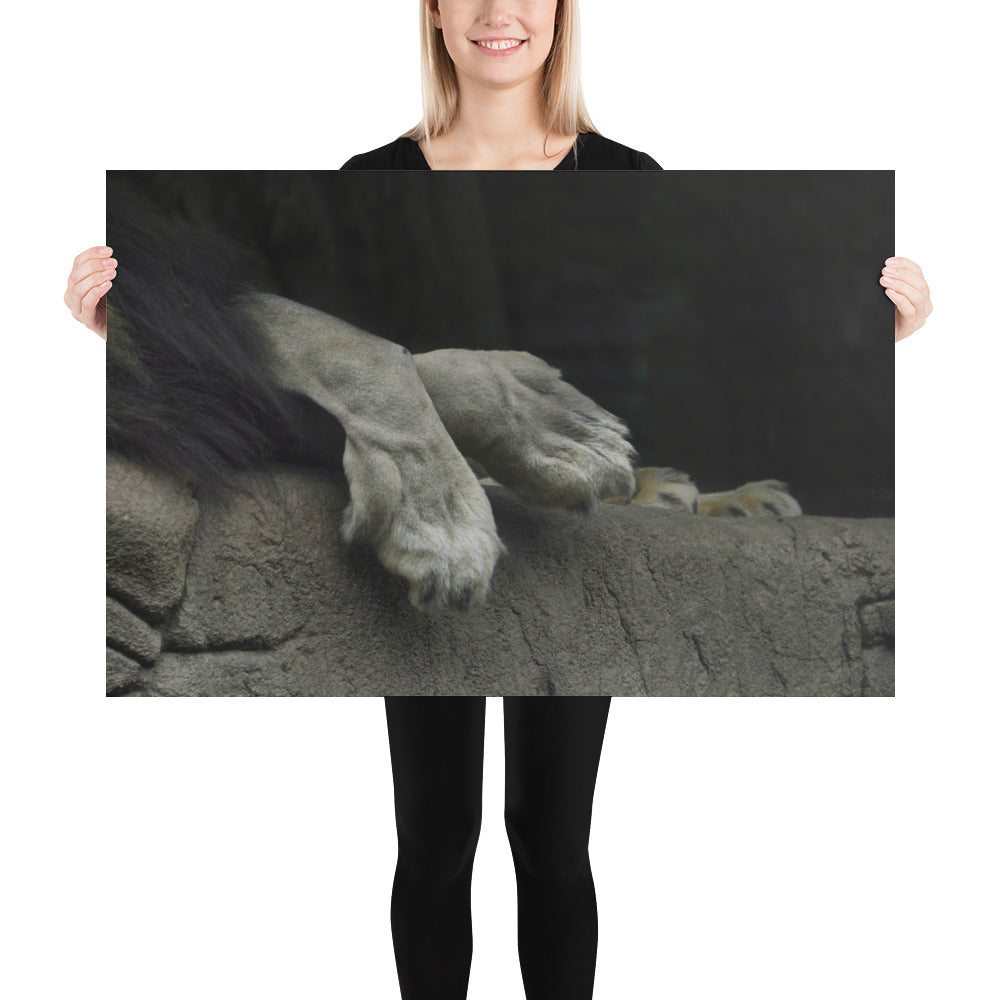 Poster - Lion Paws