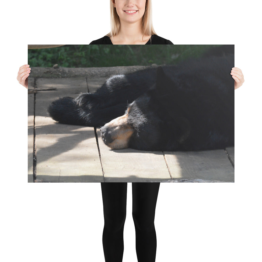 Poster - Sleepy Bear