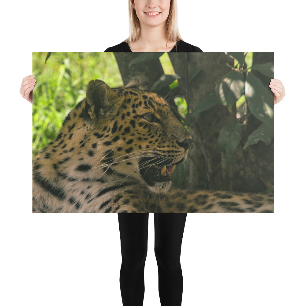 Poster - Leopard