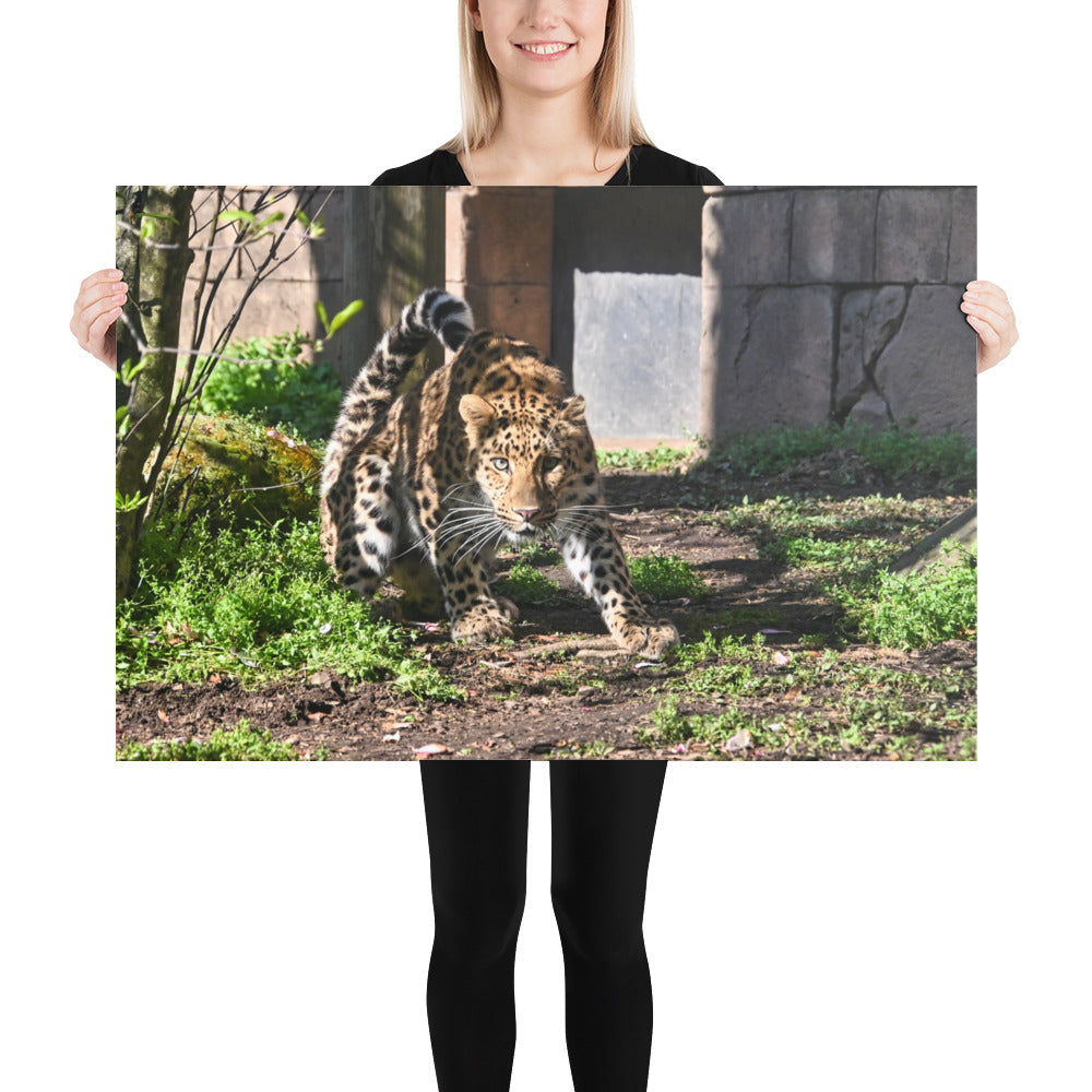 Poster - Crouching Leopard 2