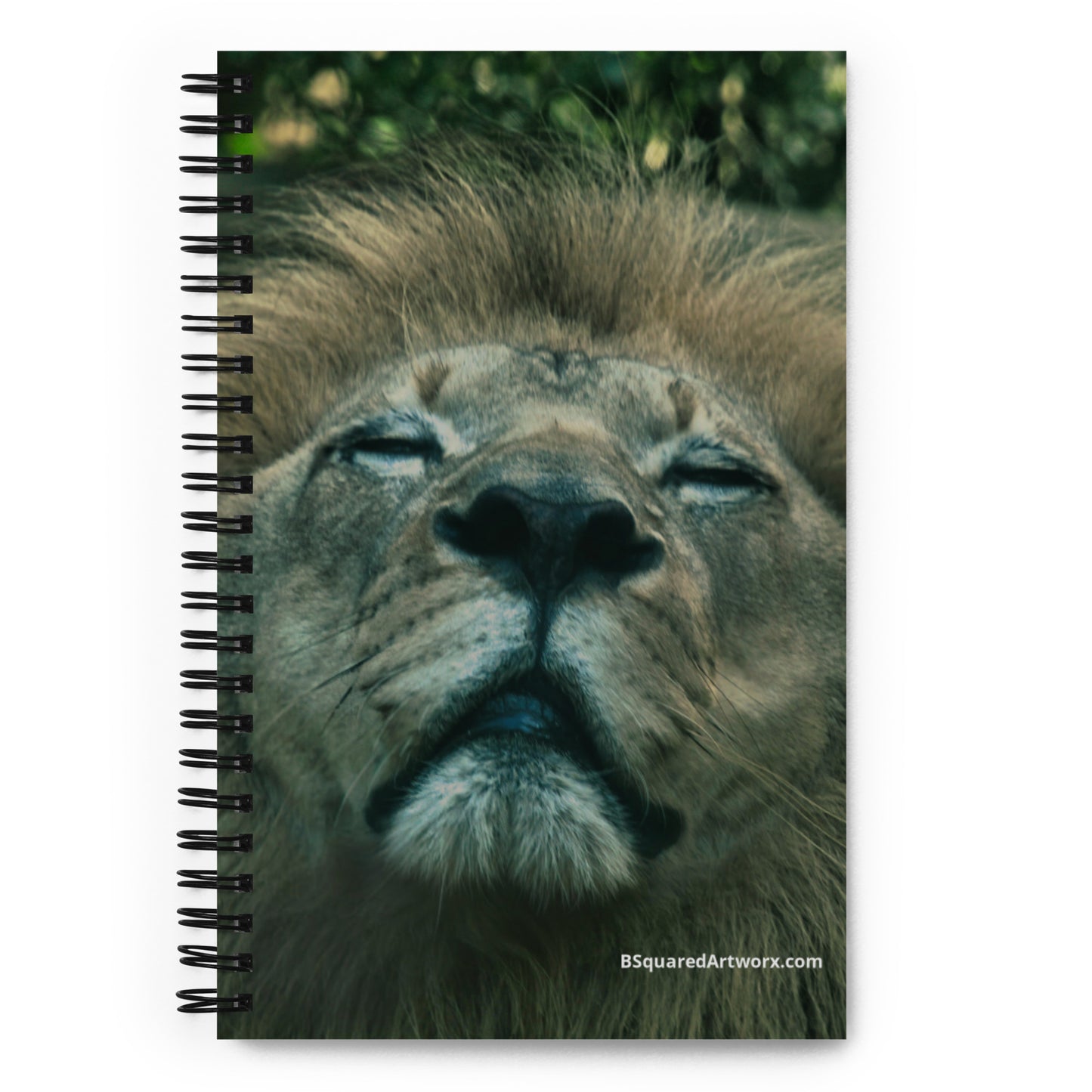 Spiral notebook - Lion 2