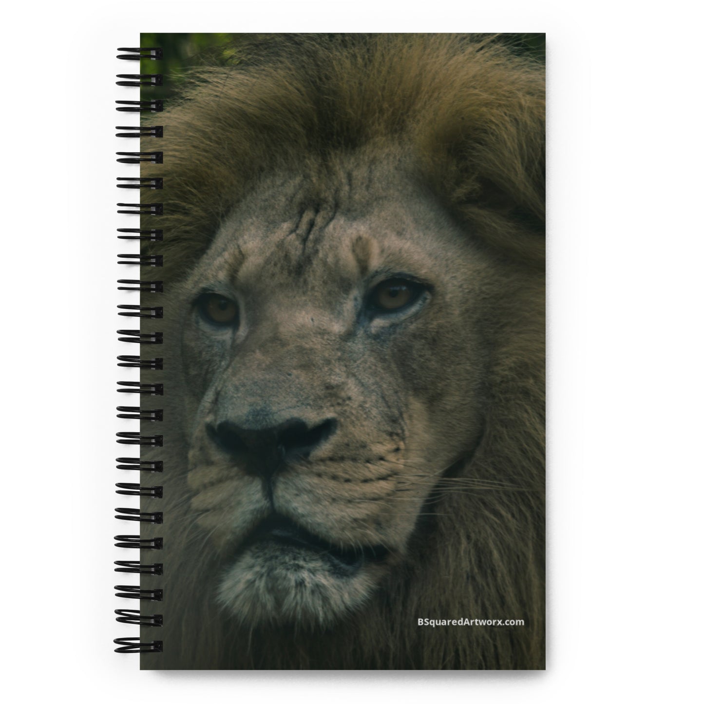 Spiral notebook - Lion 3
