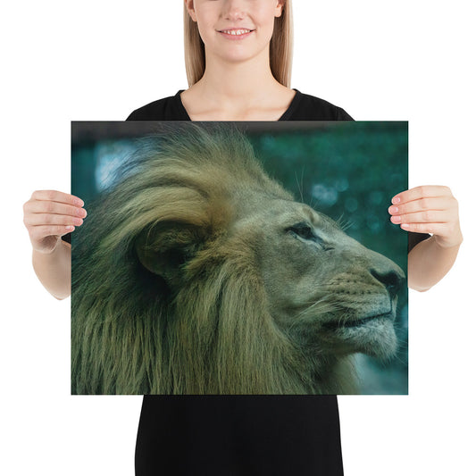 Poster - Lion Profile