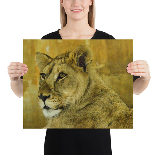 Poster - Young Lion 1