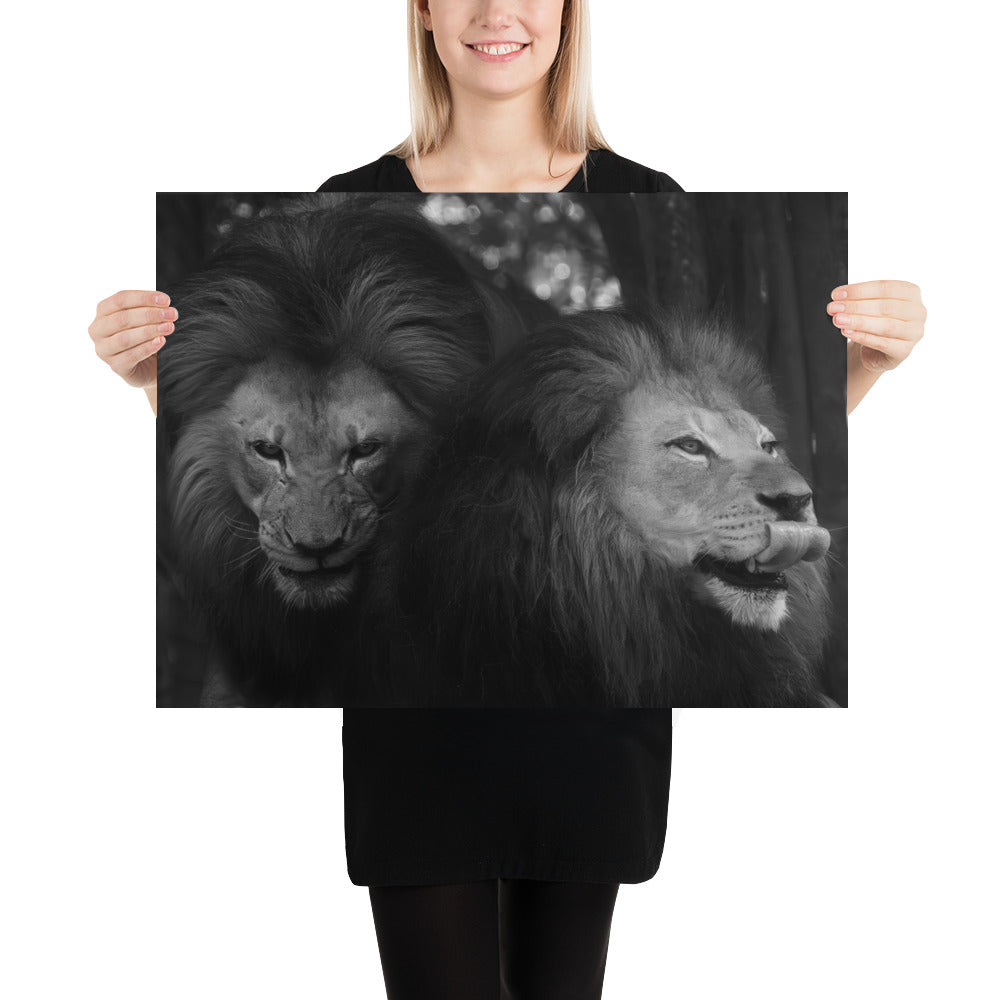 Poster - Lion Brothers Greyscale