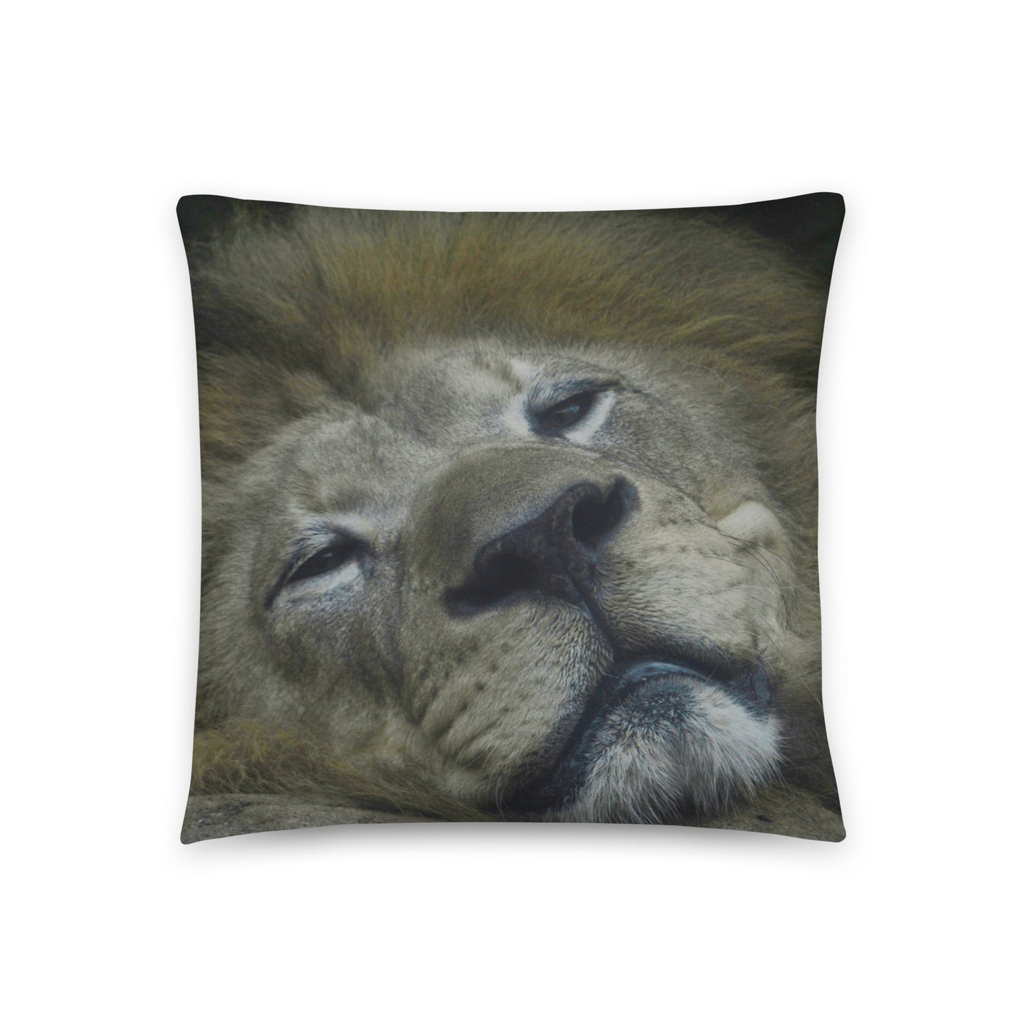 Accent Pillow - Lion
