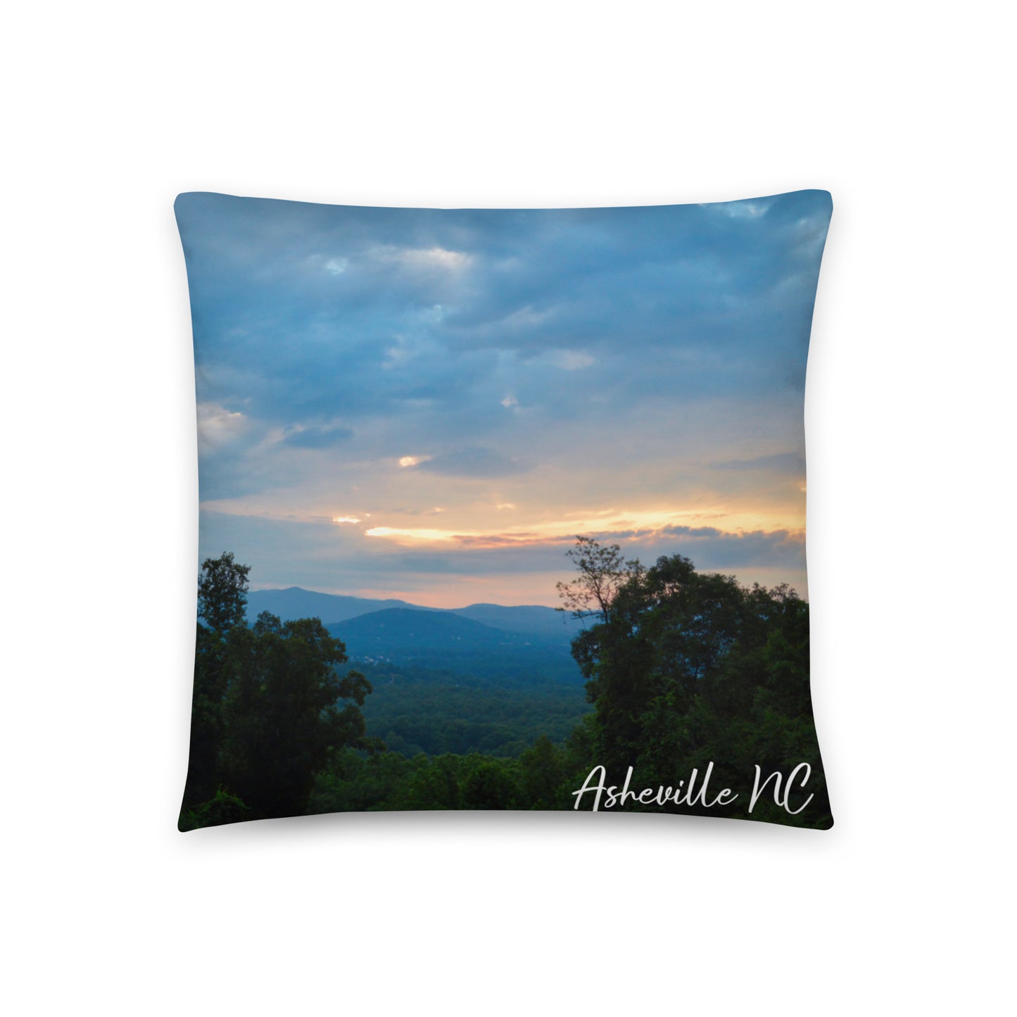 Accent Pillow - Asheville NC 3