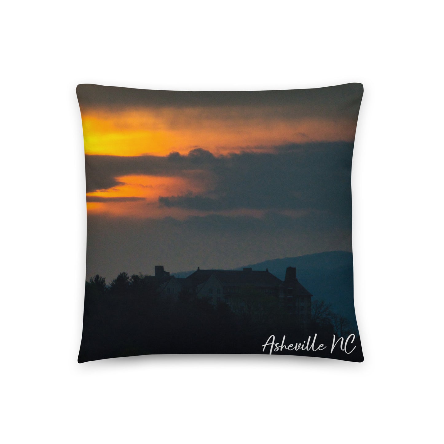 Accent Pillow - Asheville NC 1