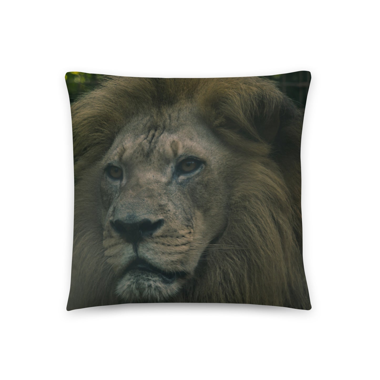 Accent Pillow - Lion 1