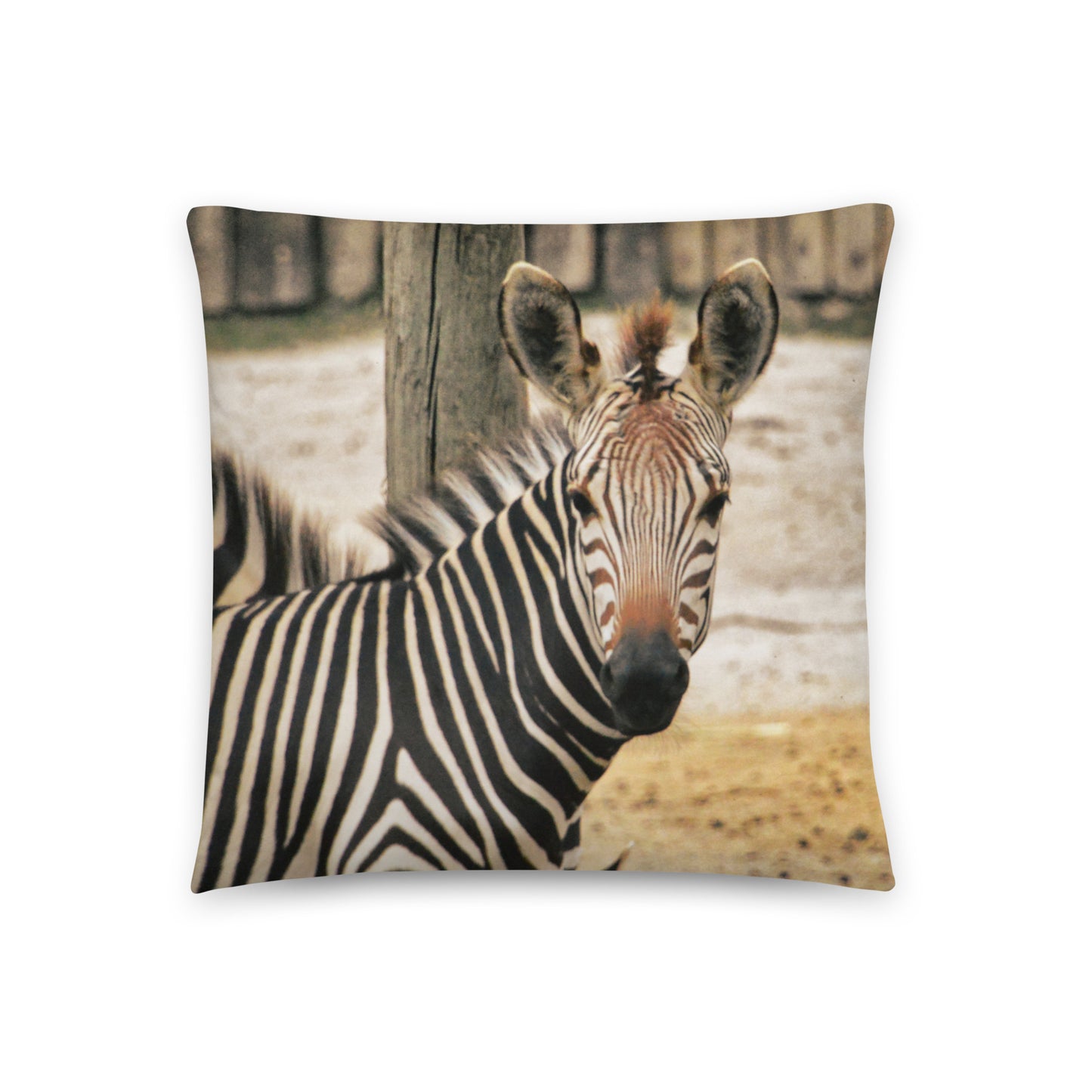 Accent Pillow - Zebra