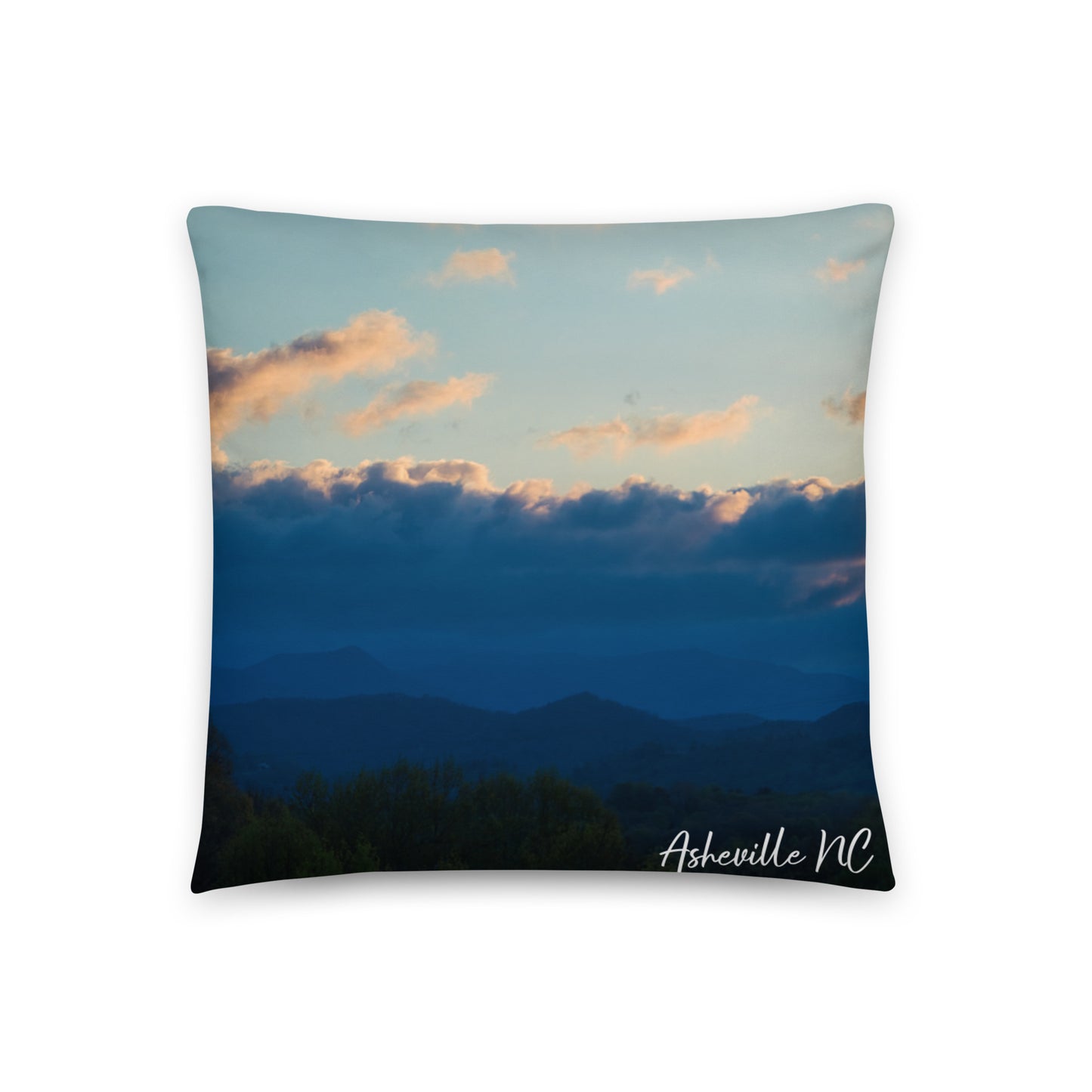 Accent Pillow - Asheville NC 2