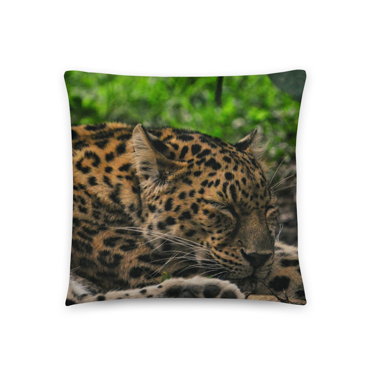 Accent Pillow - Leopard 2