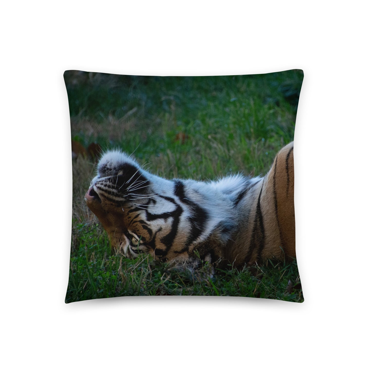 Accent Pillow - Tiger 1