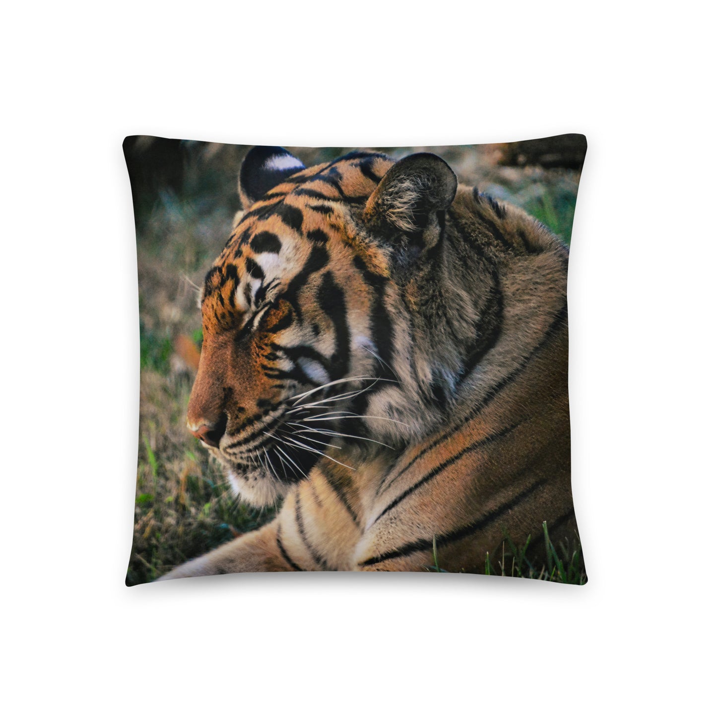 Accent Pillow - Tiger 3