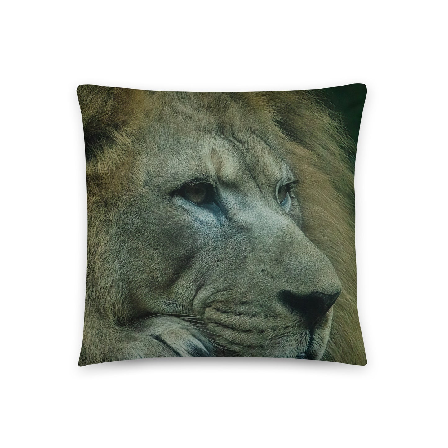 Accent Pillow - Lion 2