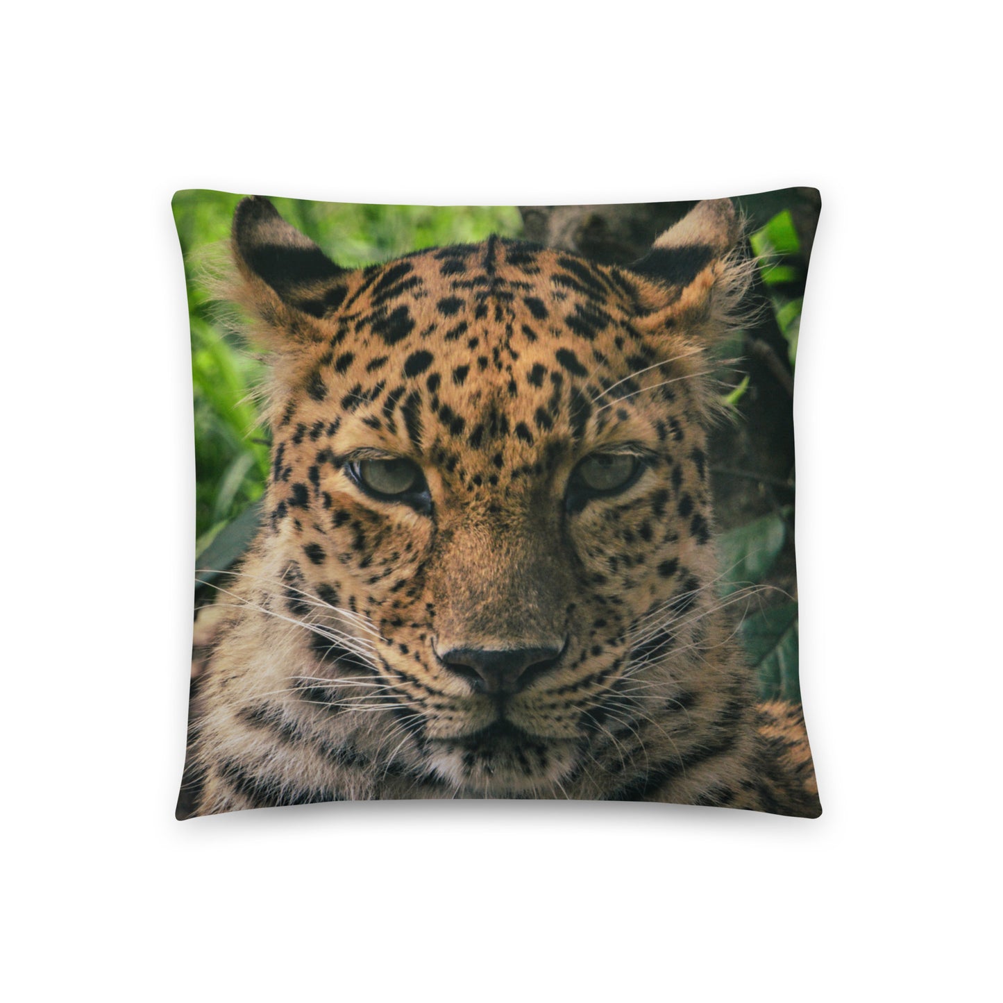 Accent Pillow - Leopard