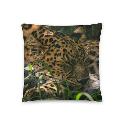 Accent Pillow - Leopard 1