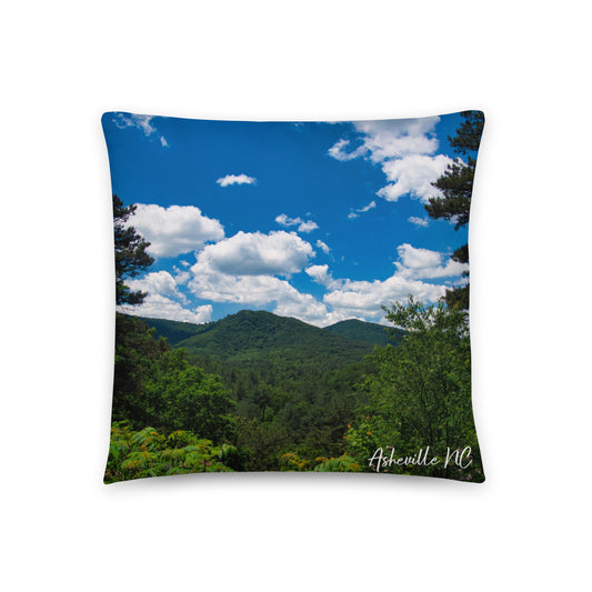 Accent Pillow - Asheville NC 3