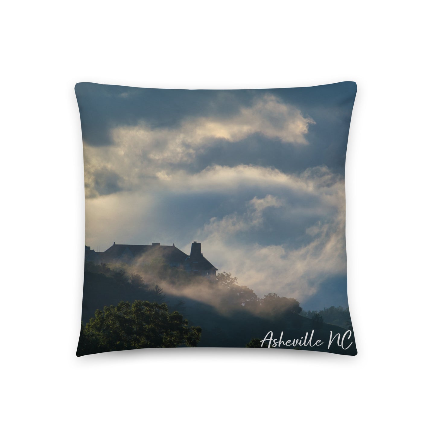 Accent Pillow - Asheville NC 1