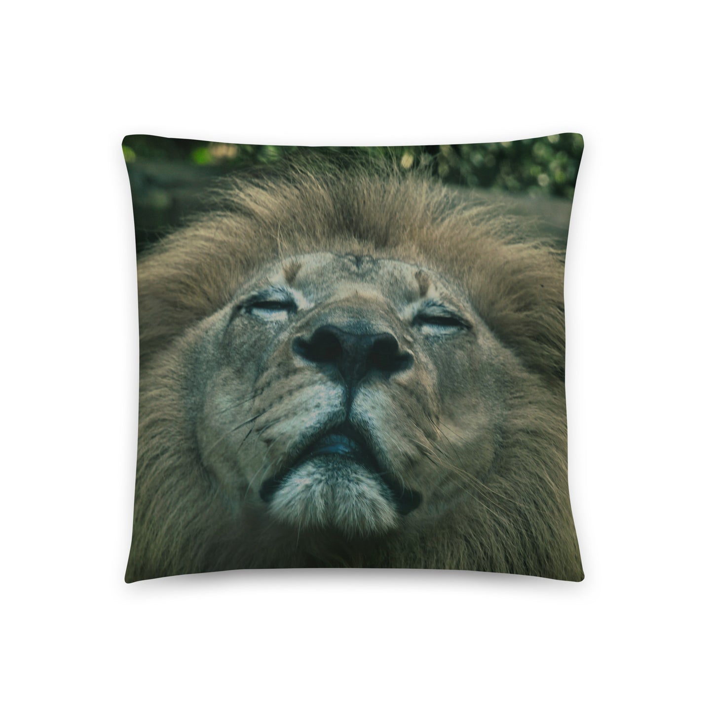Accent Pillow - Lion 1