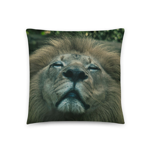 Accent Pillow - Lion 1