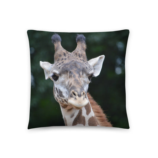 Accent Pillow - Giraffe