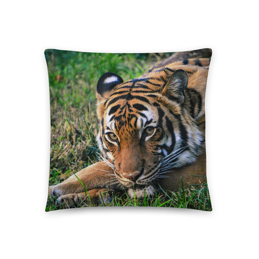 Accent Pillow - Tiger 1