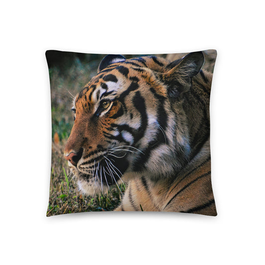 Accent Pillow - Tiger 2