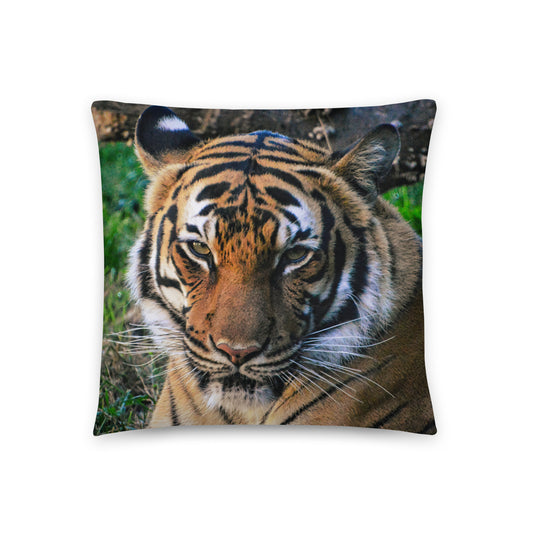 Accent Pillow - Tiger 3