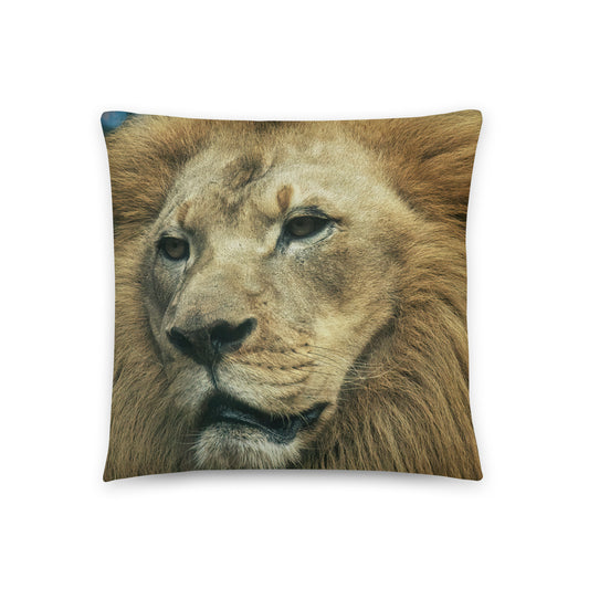 Accent Pillow - Lion 3