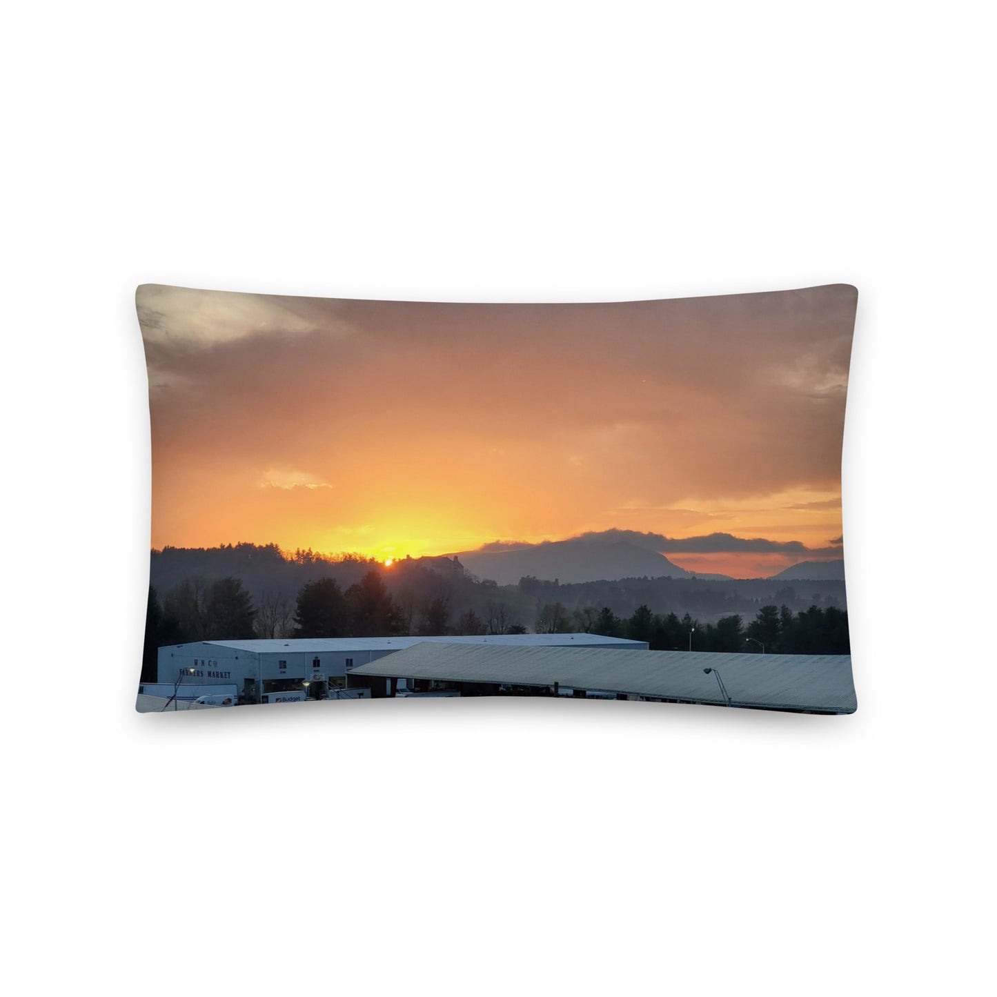 Accent Pillow - Asheville NC