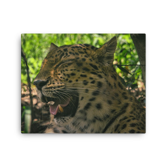 Canvas - Leopard 3