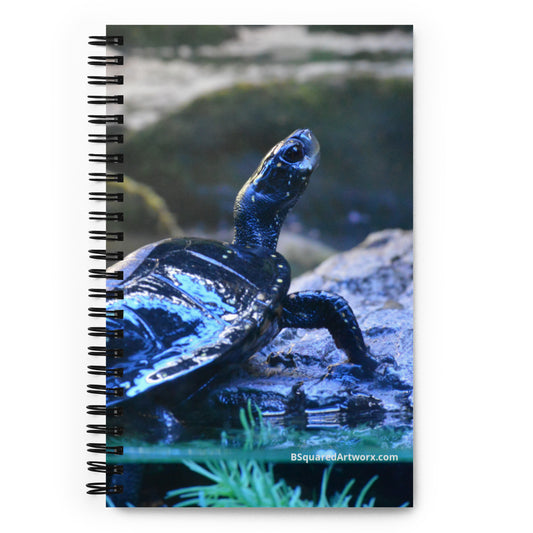 Spiral notebook - Turtle