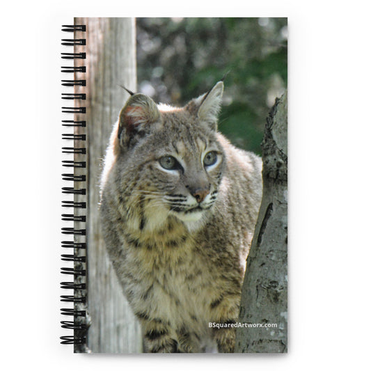 Spiral notebook - Bobcat