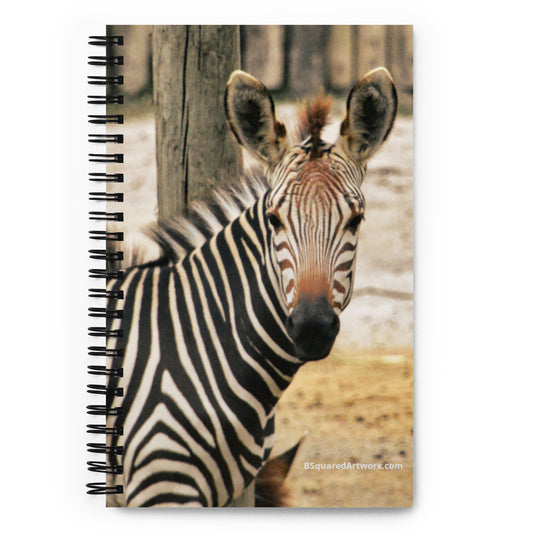 Spiral notebook - Zebra