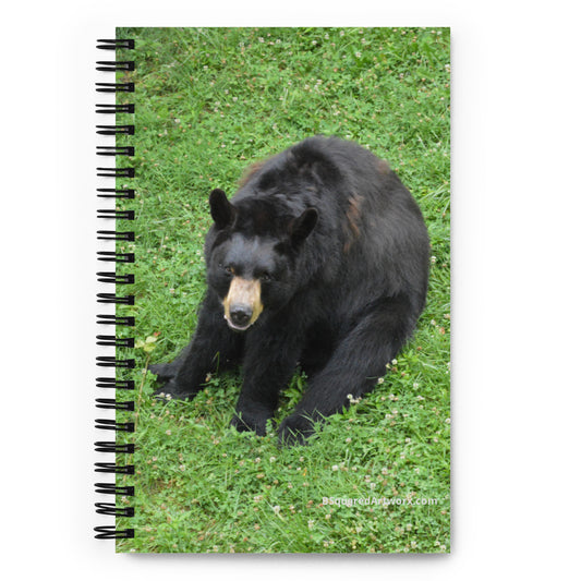 Spiral notebook - Black Bear