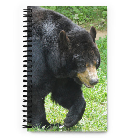 Spiral notebook - Black Bear 1