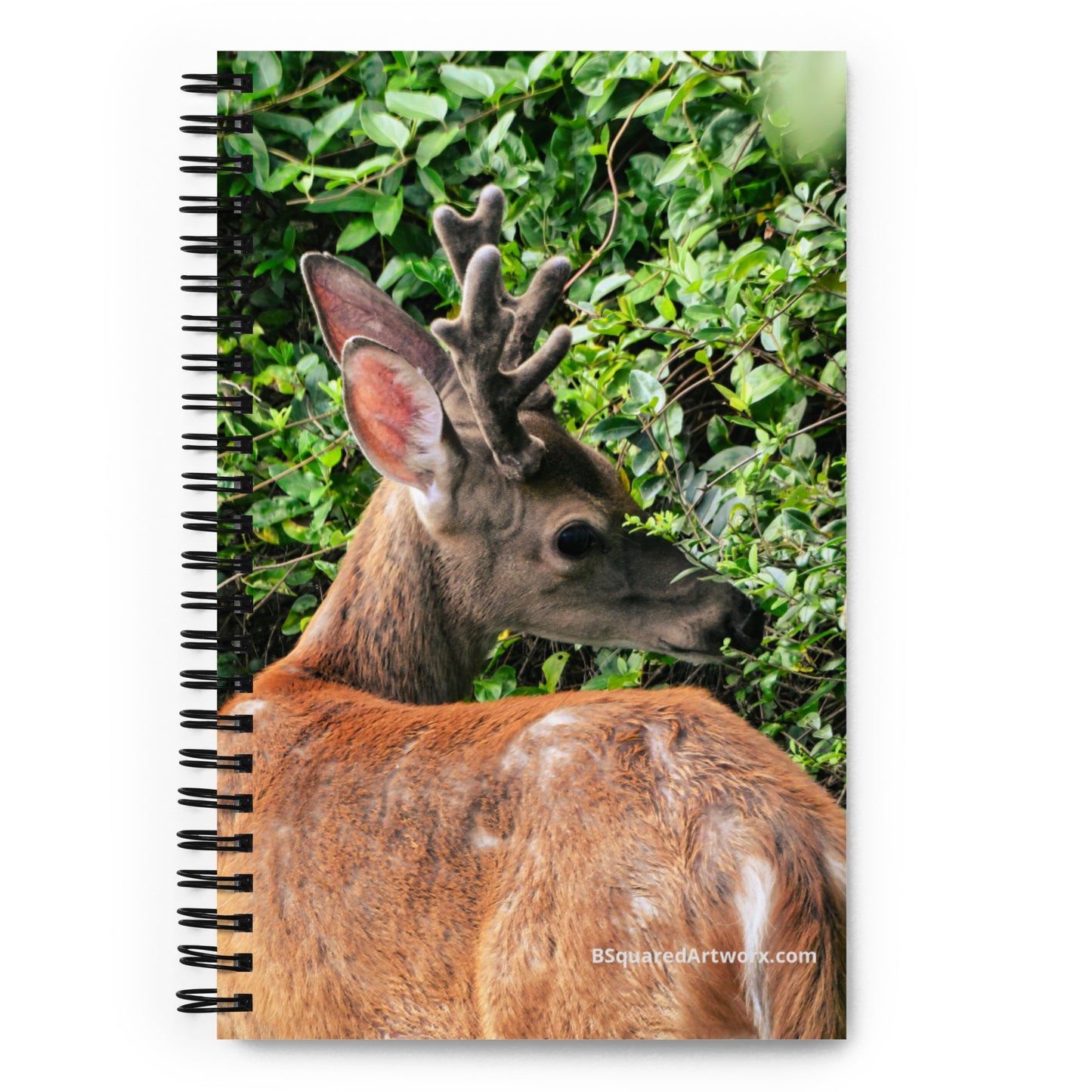 Spiral notebook - Deer