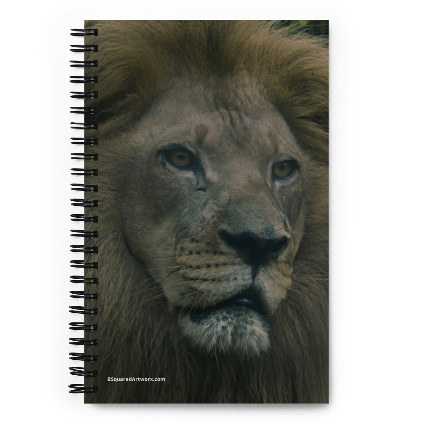 Spiral notebook - Lion 1